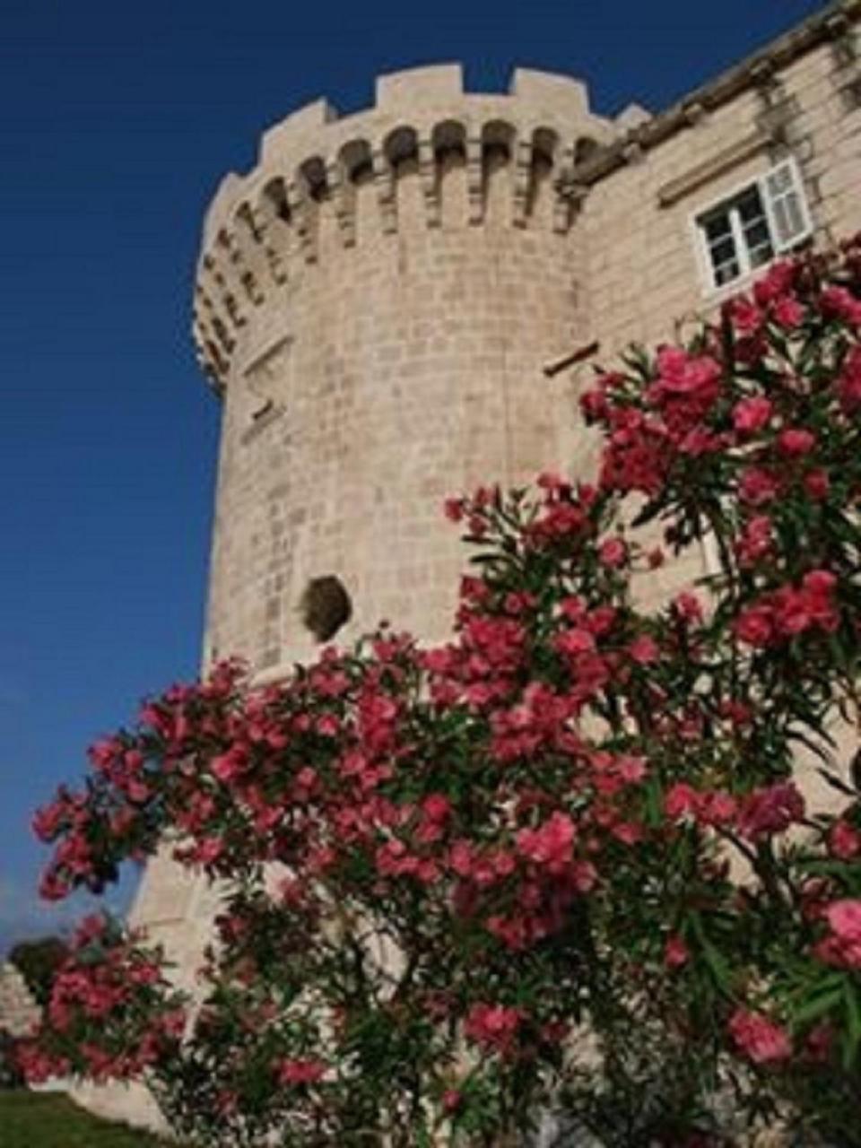 Villa Jade Apartments Front Row Sea View - Walk To Korcula Old Town Medvinjak ภายนอก รูปภาพ